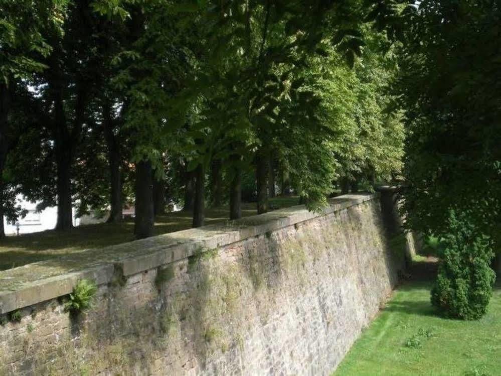 Chambres D'Hotes Le Domaine Des Remparts Selestat Ngoại thất bức ảnh